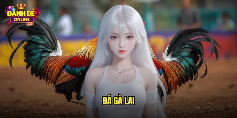 Đá Gà Lai Đánh Đề Online Gà Lai Giống Sức Mạnh Vượt Trội 1 đá gà lai