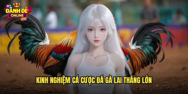 Đá Gà Lai Đánh Đề Online Gà Lai Giống Sức Mạnh Vượt Trội 3 Kinh nghiệm cá cược đá gà lai thắng lớn