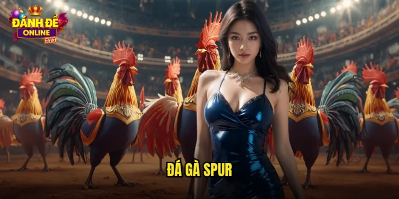 Đá Gà Spur Đánh Đề Online Đá Gà Gắn Cựa Sắt Kịch Tính Cao 2 đá gà spur